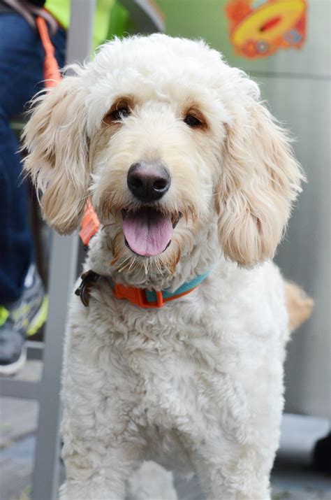 Happy Hour — Longfellow Grill