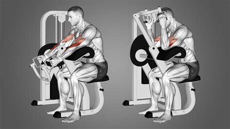 Machine Hammer Curl: Muscles Worked and More - Inspire US