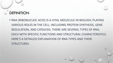RNA Types 的图像结果