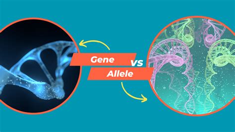 Gene vs Allele: Key Genetic Concepts Simplified