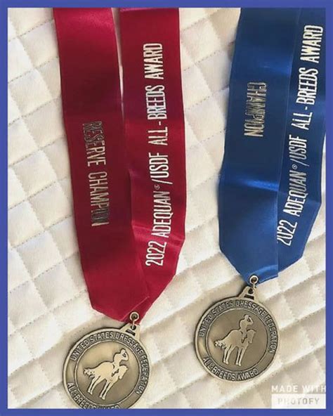 Image result for USDF Competitions