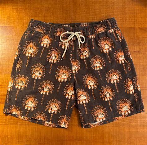 Taylor Stitch x Fair Harbor Mirage Palm Swim Trunks -… - Gem