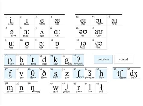 Image result for IPA Examples