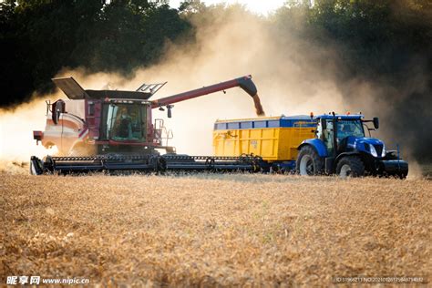 收割 的图像结果