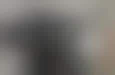 57 Intriguing Dinosaur Designs