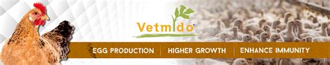 Amazon.in: VETMIDO: POULTRY