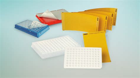 Image result for Bio PCR