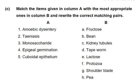 Match the items given in column A with the most appropriate ones in ...