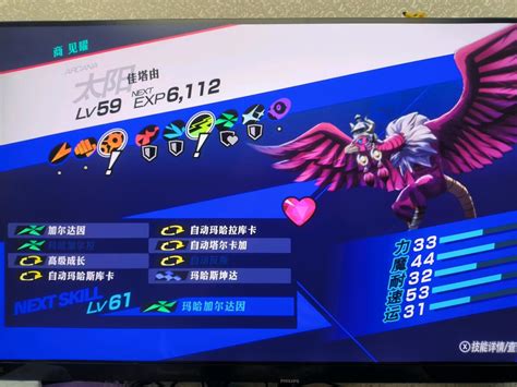 ppR3 Vector 的图像结果