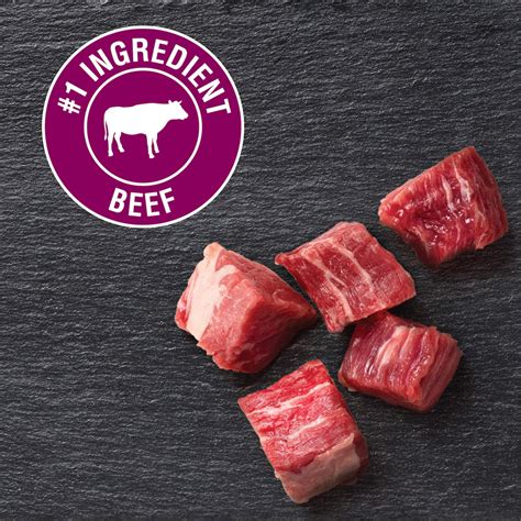 Buy CESAR Soft Wet Dog Food Classic Loaf in Sauce Filet Mignon and ...