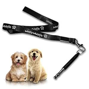 LUPO Dog Training Whistle, Professional Ultrasonic with Lanyard ...