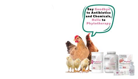 Daskdan Innovations - Innovating Phytotherapy for Animal Health