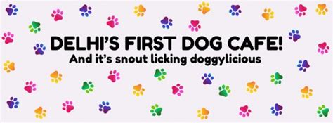Delhi's First Dog Cafe Is Already A Heart-Melting Affair Ahead Of Its ...