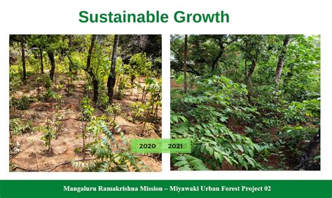 Vivekananda Vrikshalaya – Urban Foresting Project – Ramakrishna Ashrama ...