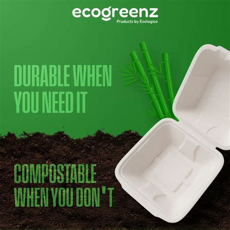 EcoGreenz - Eco-Friendly Bagasse Tableware