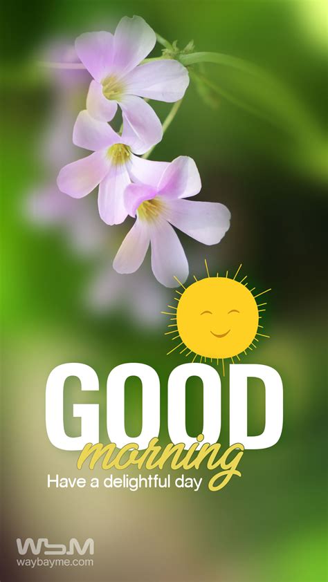 Good Morning Images With Flowers 100+ Gorgeous Good Morning Images To