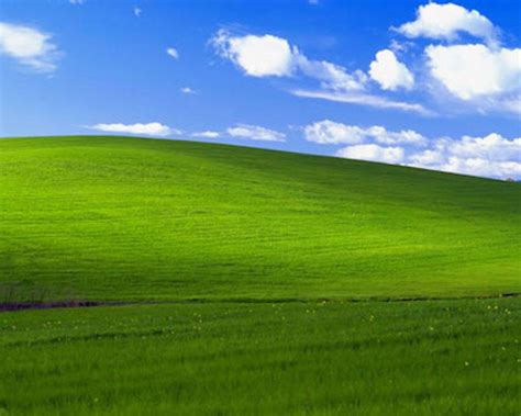 Image result for Windows Open Window XP Desktop Picture