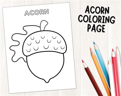Acorn Coloring Pages For Kids [2025]