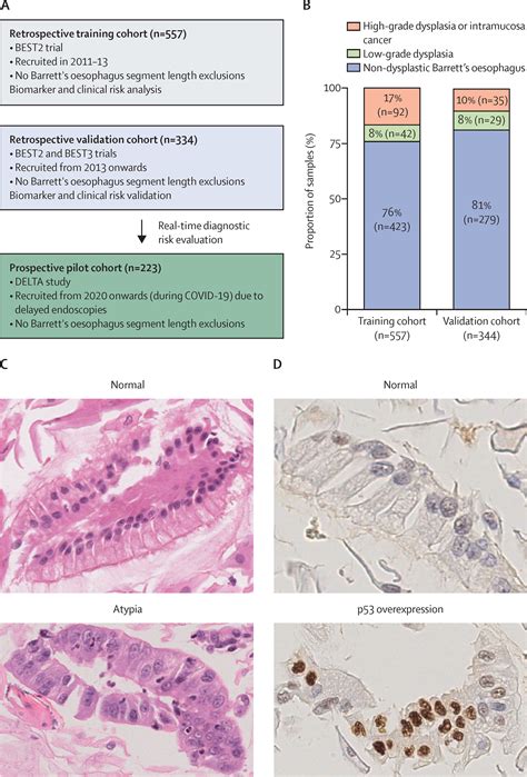 Use of a Cytosponge biomarker panel to prioritise endoscopic Barrett's ...