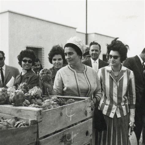 Jugoslovenska svedočanstva o Alžirskoj revoluciji – arhivski omnibus