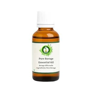 R V Essential Pure Borage Essential Oil 50ml- Borago Officinalis (100% ...