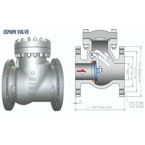 Check Valve - 150 PSI Forged Steel Check Valves Manufacturer from Mumbai