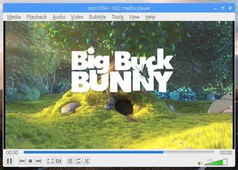 Image result for VLC Raspberry Pi Stream