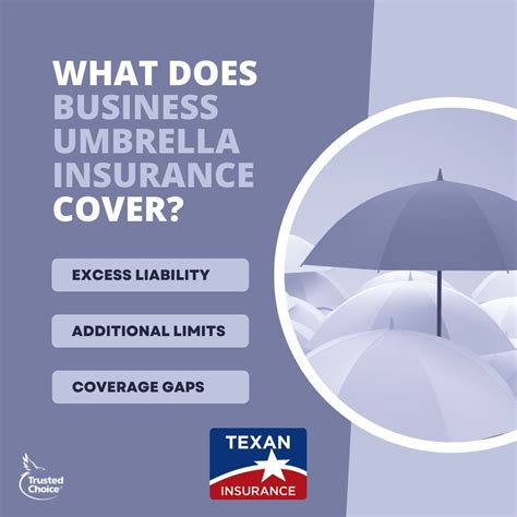 Image result for Texan Insurance Rates