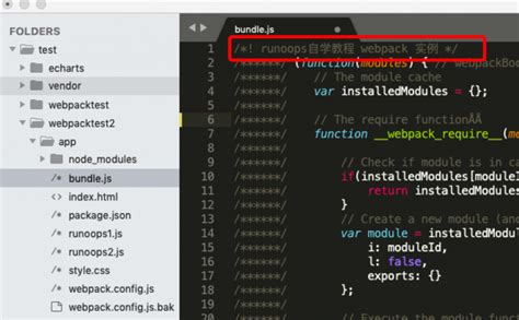 Image result for Webpack Tutorial