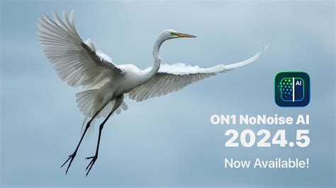 Image result for On1 Tutorials Remove