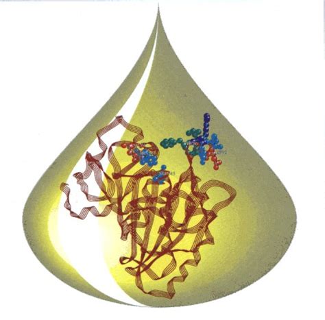 Genetic variants linked to disturbances in lipid metabolism identified ...