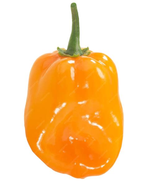 Premium Photo | Orange habanero pepper isolated capsicum chinense fruit