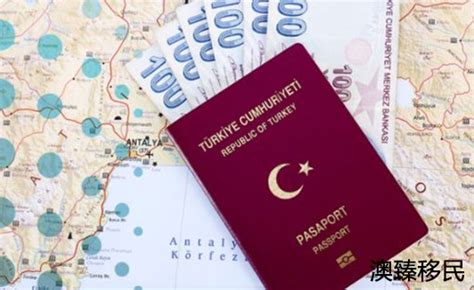 听说，最近土耳其护照很火？|土耳其|护照|房产_新浪新闻