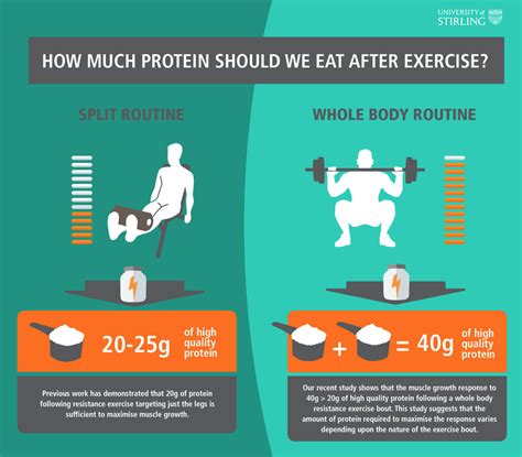 How Much Protein You Need After a Workout - Men's Journal