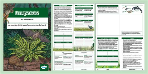 Ecosystem Project 的图像结果