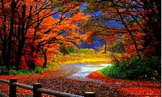 Best Autumn Wallpapers Hd by Hd Fall Wallpapers Desktop Best Background Wallpaper Best Autumn Wallpapers Hd