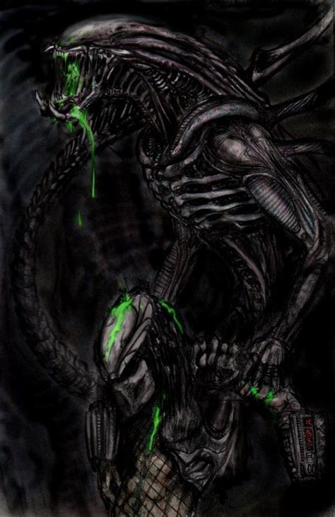 Image result for Alien Queen vs Predalien