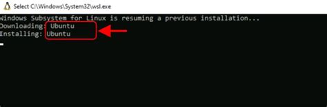 Image result for Windows Server Linux