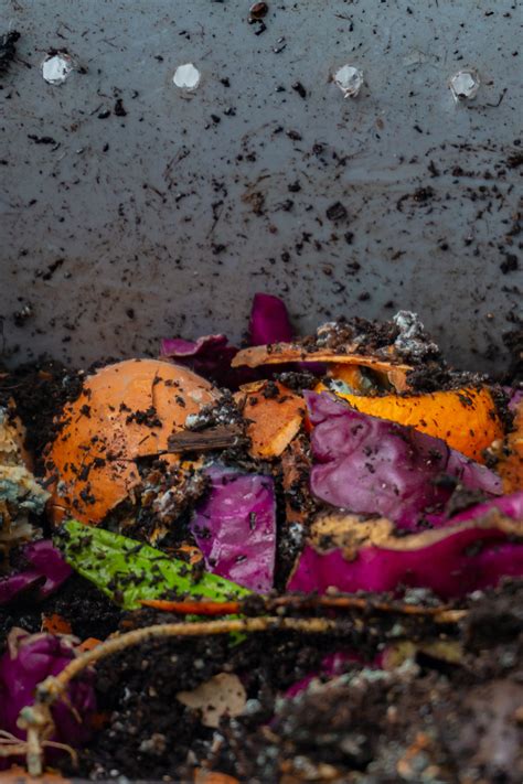 Worm Farming Business 的图像结果