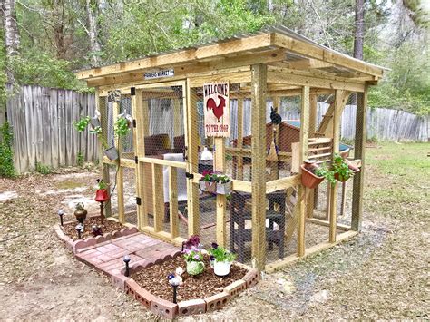 Diy Backyard Chicken Coops