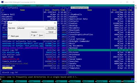 Image result for Midnight Commander