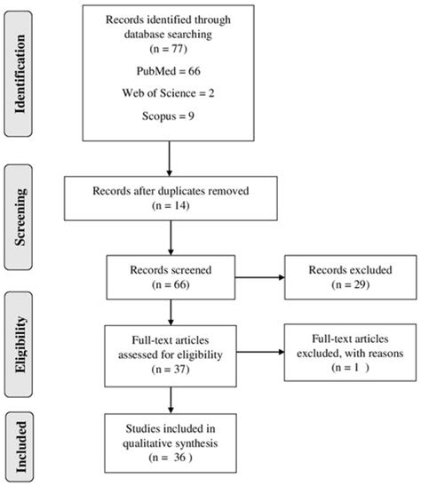Malarial Protozoan Parasites Infection | Encyclopedia MDPI