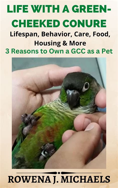 Life With A Green-Cheeked Conure: Lifespan, Behavior, Care, Food ...