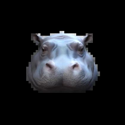 Hipoo Roblox 的图像结果