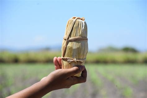El Salvador endulzará a Canadá e Italia con productos derivados de la ...