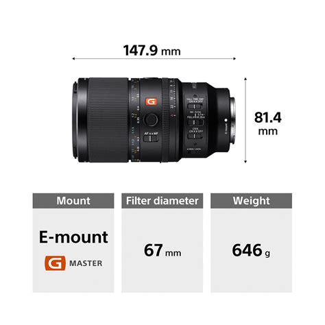 Sony E-Mount FE 100 MM F2.8 MACRO GM OSS Full-Frame Lens (SEL100M28GM)