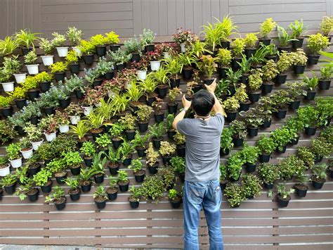 What To Grow Vertical Garden at James Page blog