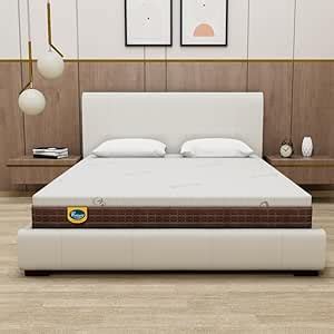 Centuary Mattresses 100% Natura Latex 8-Inch Queen Size,10 Years ...
