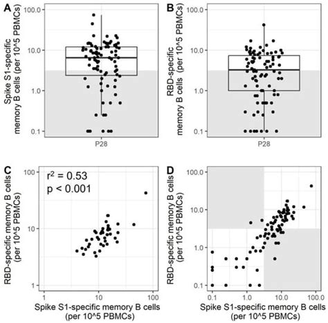 Booster Immunization Improves Memory B Cell Responses in Older Adults ...