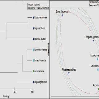 Community Cluster Analysis Drawing 的图像结果